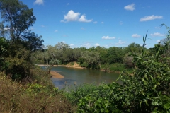 Old Crossing Daly River 16-6-16