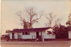 Rebuild 1977